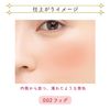 BLEND BERRY Face Gloss 002 (Fig) Teak Face Color KOSE