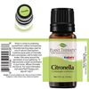 Plant Therapy Citronella Essential Oil 10 mL (1/3 oz) 100% Pure, Undiluted, Therapeutic Grade