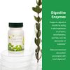 4Life Digestive Enzymes - Dietary Supplement Supports Digestive System and Intestinal Health - Digestive Enzymes Support Food Absorption and Breakdown of Protein, Carbohydrates, and Fats - 90 Capsules