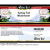Turkey Tail Mushroom Salve (2 oz, ZIN: 521831)