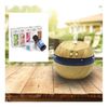 Natural Finish Diffuser With 6 Asst Organic Aromatic Essential Oils & Scents 