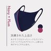 ARDW Mask (Navy + Plum) Medium