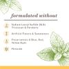 Burt's Bees Toothpaste, Natural Flavor, Fluoride Free Purely White, Zen Peppermint, 4.7oz 3 Count