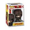 Funko Pop! Movies: DC - The Flash, Dark Flash