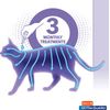 Flea & Tick Prevention for Cats and Kittens