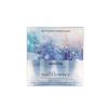Bath and Body Works Winter Wallflower Refill 2 Bulbs