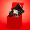 SIKORA K08-42 Winter Village Glass Bauble Christmas Bauble Interior Glass Painting Diameter 7.5 cm