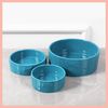 Park Life Designs Pet Bowl | Manor (Medium, Azure)