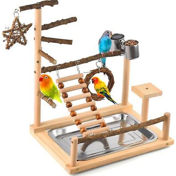 KATUMO Bird Playground Perch Stand Natural Parrot Playstand