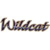 Wildcat 1 Rv Trailer Logo Decal Graphic -727-2