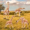 EYSCOTA Giraffe Animal Figures Set Plastic Animals for Kids