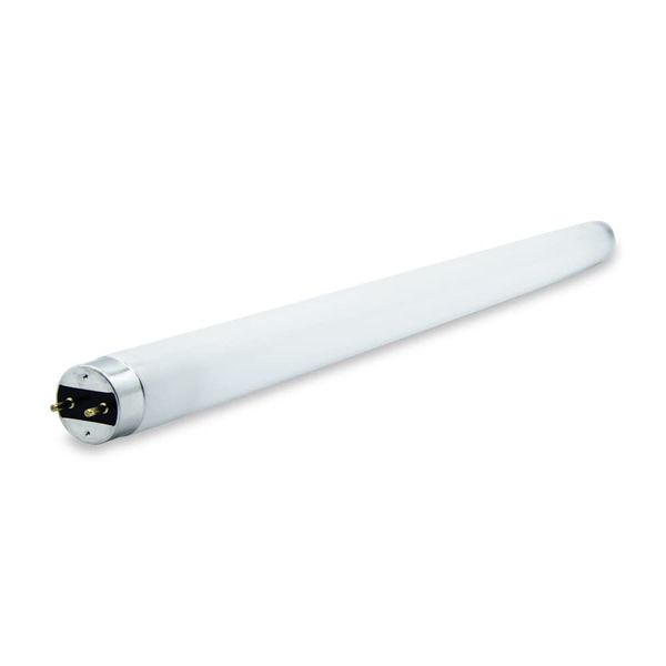 Replacement for Sylvania F15T8/D Light Bulb by Technical Precision