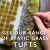 WWScenics | 4mm Spring Static Grass | 1000ml Can | WSG4-009 | Realistic Model Scenery Material