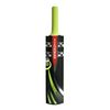 Gray Nicolls Cricket Cloud Catcher - Training Aid