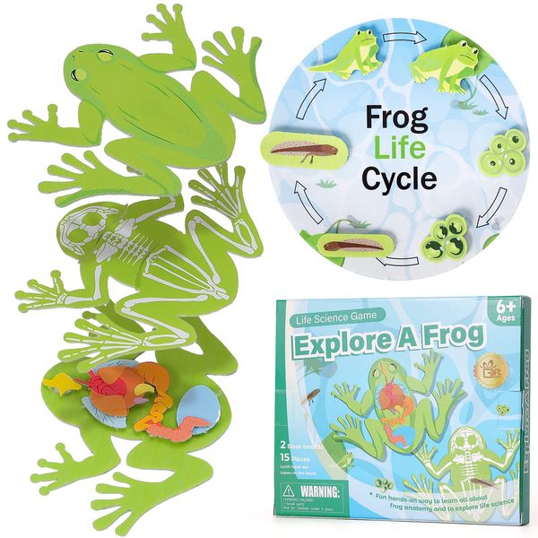 GiftAmaz Frog Anatomy Model Dissection Kit for Kids, Soft Felt Frog Science Lab Toy, Biology and Life Science STEM Birthday Toys, Classroom Teaching Aid, Educational Learning Activities for 6+