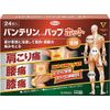 [Second-class OTC drugs] Bantelin Kowa Pup Hot 24 sheets * Products subject to self-medication tax system