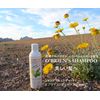 oburaienzusyanpu- O 'Brien's Shampoo