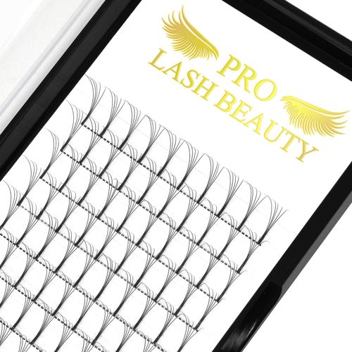 Pre Made Fan Eyelash Extensions 5D-D-0.10-8-15mix Long Stem Pre Fanned Russian Volume Lashes 0.07 0.10 Premade Fans Eyelash Extension C D curl Lash Extension 5D-D-0.10-8-15mix