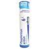 Boiron Phosphoricum Acidum 6C, 80 Pellets, Homeopathic Medicine for Concentration