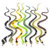 Rhode Island Novelty 14 Inch Rain Forest Snakes, Two Dozen Assorted