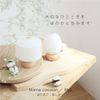 QON`Z MUJI (Bean Egg)