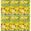 Kasugai Yuzu Gummy Candy 3.59oz (6 Pack)