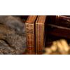 MJM Beowulf Playing Cards by Kings Wild