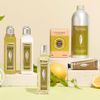 l occitane shea verbena extra gentle soap 250 g