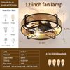 Newsight 20 Inch Ceiling Fan Lights Modern Brown LED Ceiling Light kit + Remote