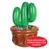 Beistle Inflatable Cactus Cooler