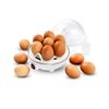 Esperanza Egg Boiler for 1 to 7 Eggs with Insert, Measuring Cup, Lancing Aid Auto Shut-Off White Polypropylene
