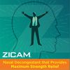 Zicam Intense Sinus Relief No-Drip Liquid Nasal Spray with Cooling Menthol & Eucalyptus, 0.5 Ounce (Pack of 1)