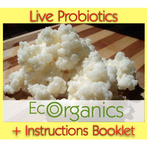 2 Teaspoons *Live* Organic Milk Kefir Grains - Bulgaros -Best Seller *FREE Ship♡