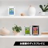 Card Loader, Card Acrylic Case, Acrylic Stand, Card Loader, Fully Sealed UV Protection