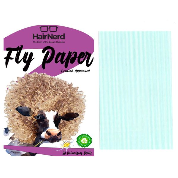 HairNerd Fly Paper Volumizing Sheets | Dehydrated Mousse