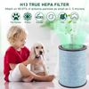2 Pack for Instant AP300 Filter Replacement, H13 True HEPA Filter, and Activated