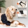 Suitical Recovery Dog Sleeve, Large, Black