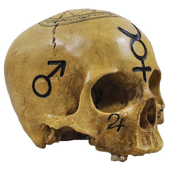 Skull Witchcraft Skull Decorative Figurine