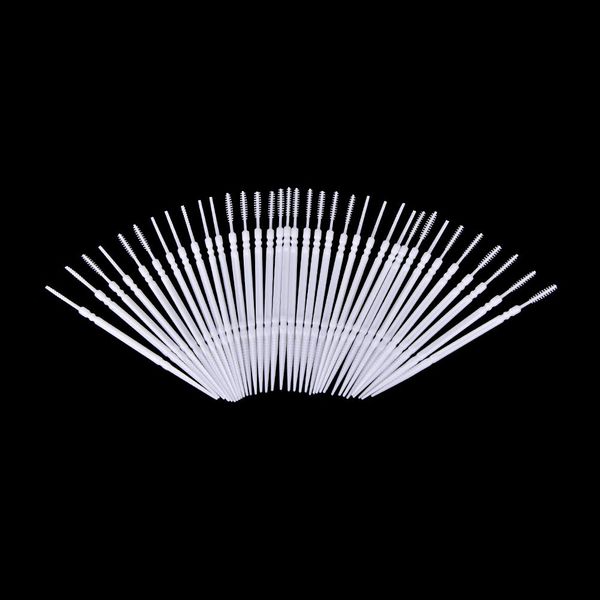 1100Pcs Disposable Plastic Toothpick Dental Picks Portable Practical Toothpick with Clear Case