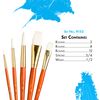 White Taklon Brushes (Set of 5)