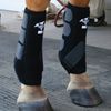 Professionals Choice Equine Smbii Leg Front Boot, Pair (X-Small, Black)