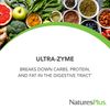 NaturesPlus UltraZyme - 120 mg Ox Bile, 180 Tablets - Maximum Strength Digestive Enzyme Supplement, Promotes Nutrient Absorption - 90 Servings