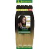 Queen B 3 + 1 Free Value Pack Braiding Hair 50" (1)