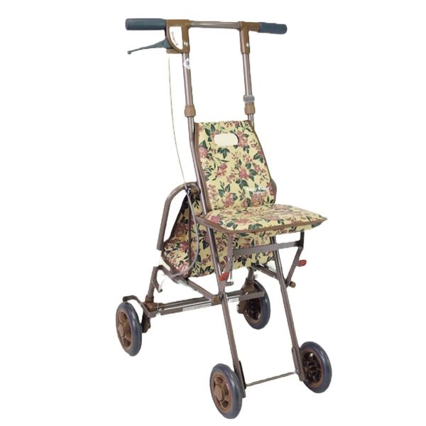 SHIMA AS-III Compact Car Sunny Walker Floral BR