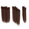 Hairdo Straight Extension Kit, R10 Chestnut