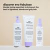 evo fabuloso bye bye brass