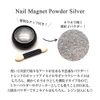 Nail Magnet Powder Silver Case