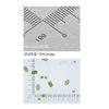 Watson (watson) Micro Scale 177 – 401 °C Assorted Pack of 10