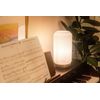 LUMINARY LAMP | PRISMA LAB | PERFECT GIFT IDEA | NEW MADE TO ORDER