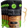 Biodegradable Dental Floss Picks - Natural Plastic Free Handle | Thin Thread Tooth Flossers for Adults & Kids | Toothpick Stick Soft on Gum & Teeth | Eco Friendly Zero Waste Vegan Organic (200, Mint)